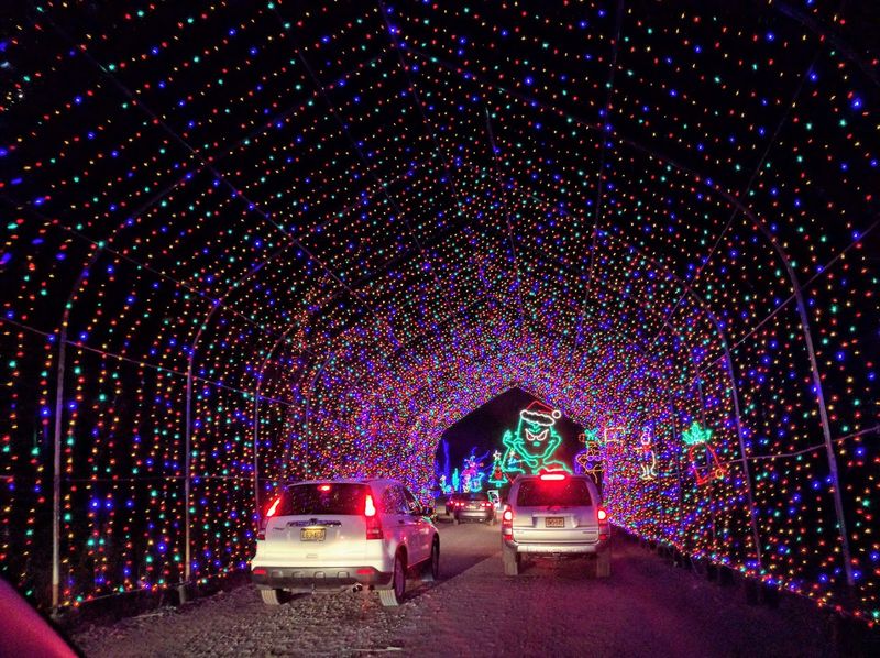 Holiday Light Shows Tradition