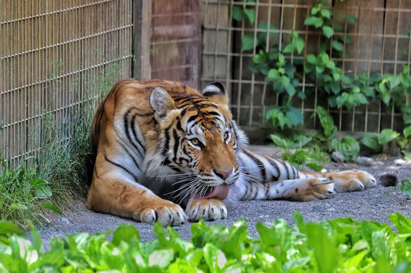 More Than 70 Species Keeps It Surprising