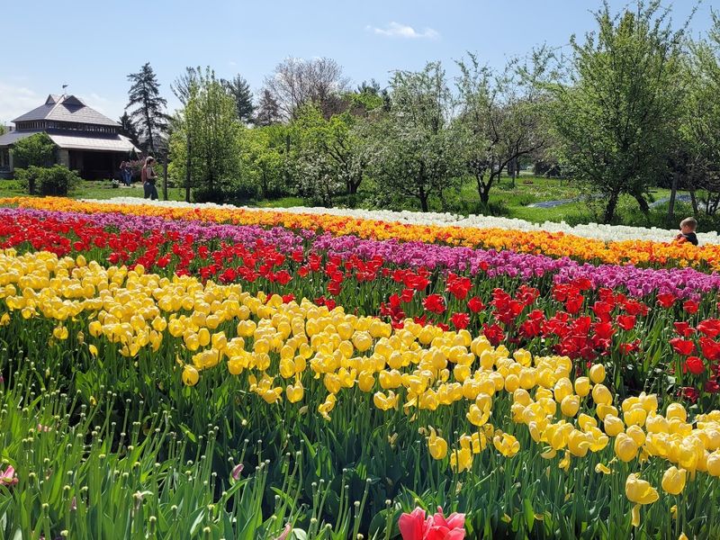 Cox Arboretum MetroPark (Dayton)
