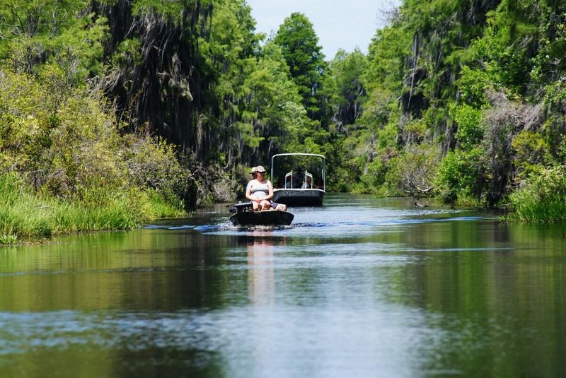 Okefenokee Swamp Park