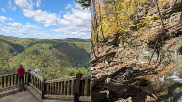 Few Scenic Drives In Pennsylvania Compare To This Incredible State Park