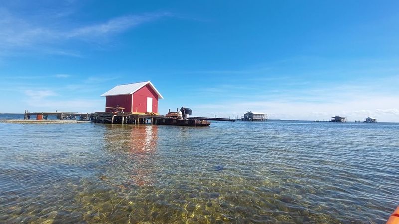 The Aquatic Preserve Is the Island's Real Front Yard