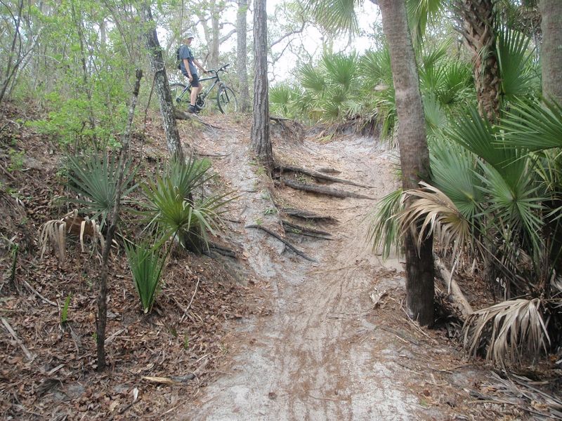 Hiking Trails Through River Forests