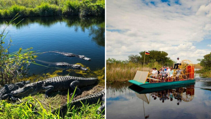 Floating Wetlands and Rich Wildlife Make This Florida National Park Stand Out