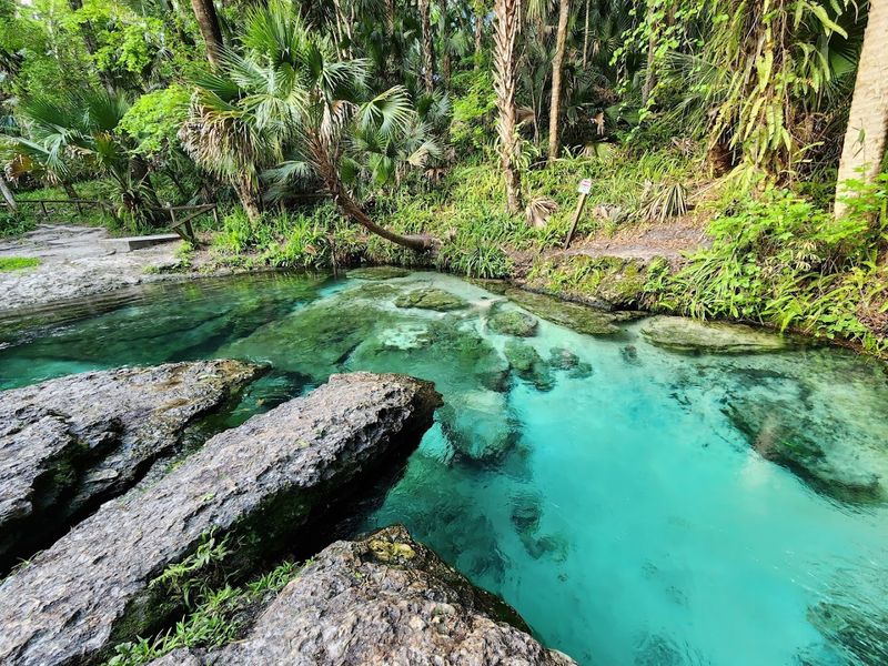 Kelly Park / Rock Springs Run