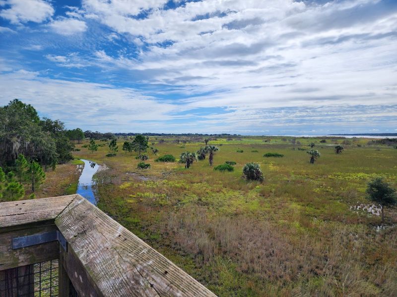 Lake Kissimmee State Park