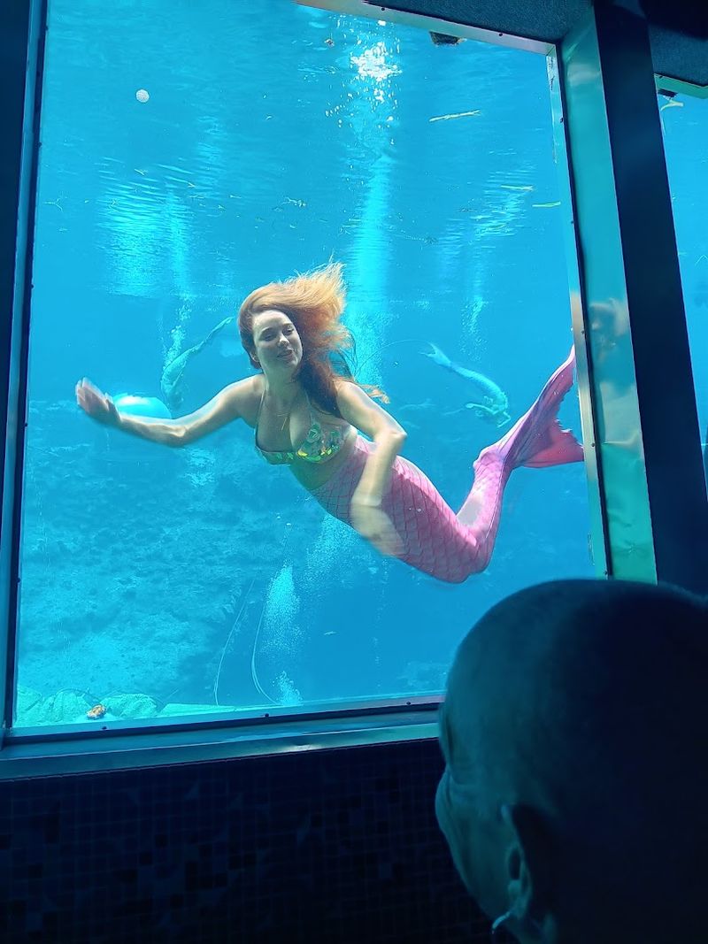 Weeki Wachee Mermaid Show (Brooksville)