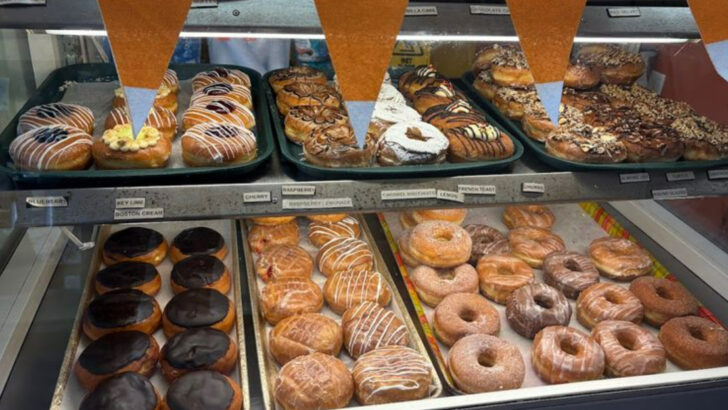Florida Has 11 Hidden Donut Shops Locals Secretly Prefer Over Famous Chains