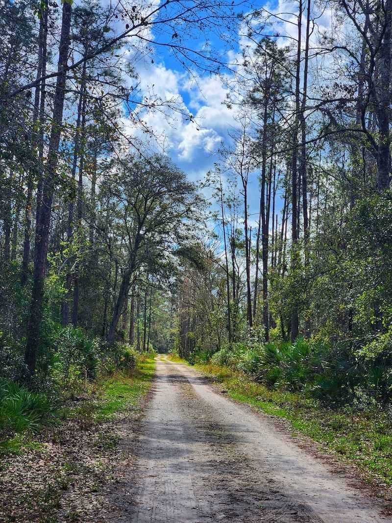 Deep Creek Preserve Trails