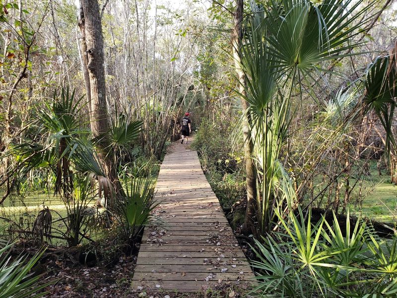 Little Manatee River State Park Trails (Wimauma)
