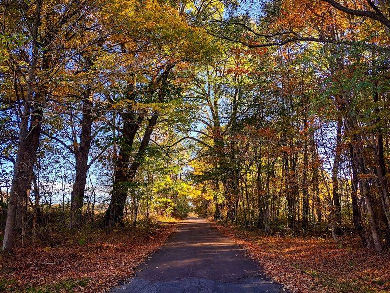 Forbes State Forest