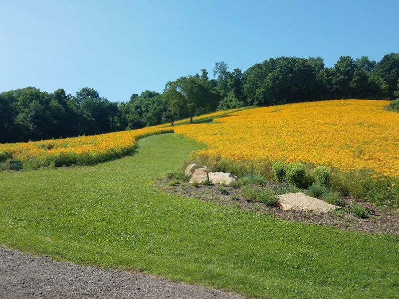 Boyce Park