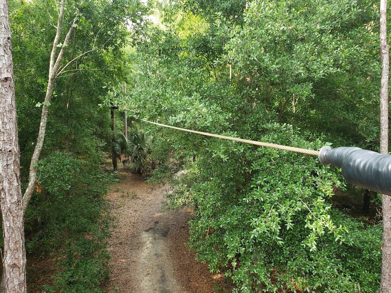 Orlando Tree Trek Adventure Park