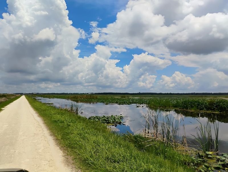 Lake Apopka Wildlife Drive