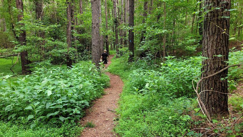 Chattahoochee Bend State Park