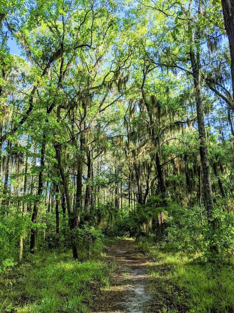 Harris Neck National Wildlife Refuge