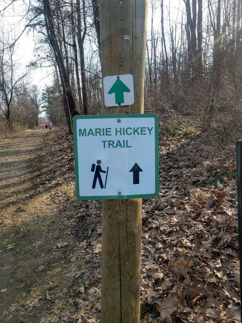 The Marie Hickey Trail
