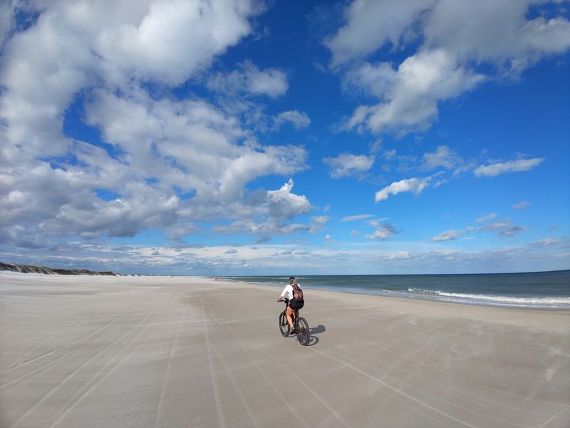Scenic Coastal Trails Through Maritime Hammocks