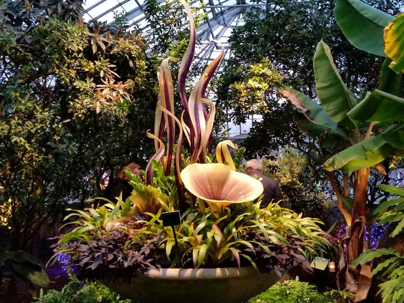 Phipps Garden Center (Pittsburgh)
