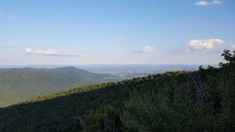 Buchanan State Forest 