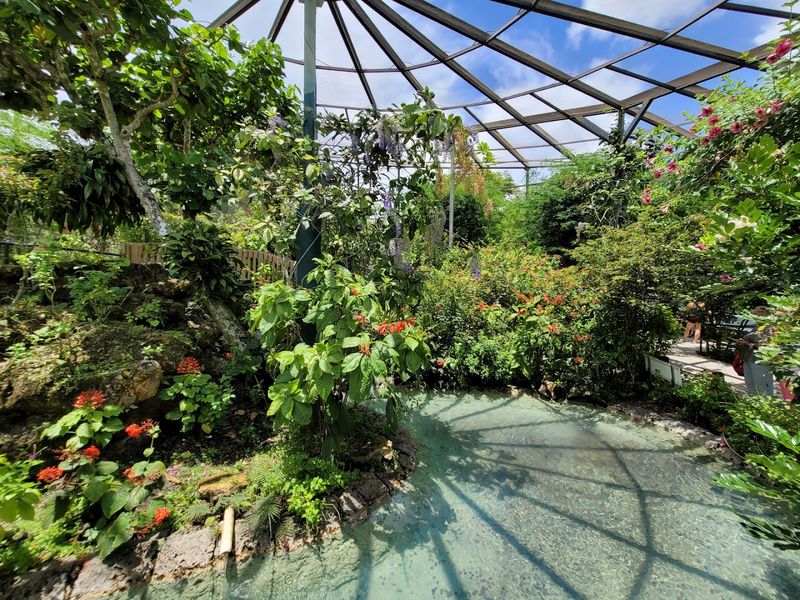 Breathtaking Butterfly Garden at Butterfly World