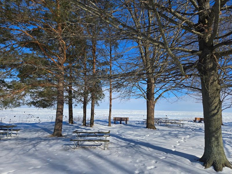 Winter Wonderland and Year-Round Beauty