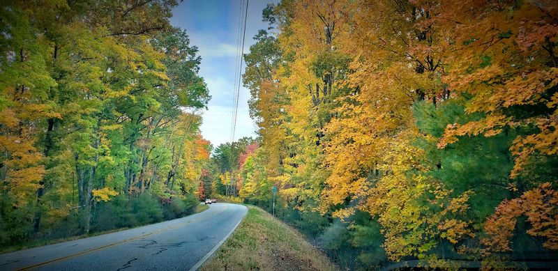Cohutta-Chattahoochee Scenic Byway (GA-2 / US-76 / GA-52 segments)