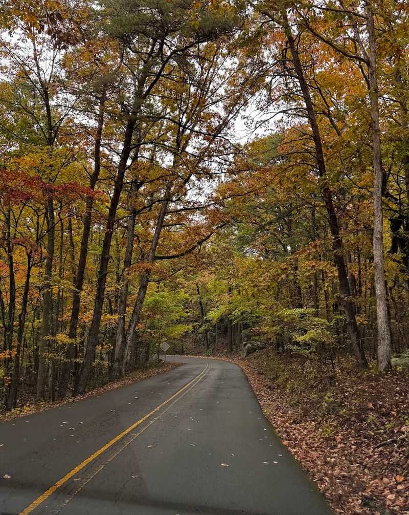 GA-197 (Clarkesville to Lake Burton area)
