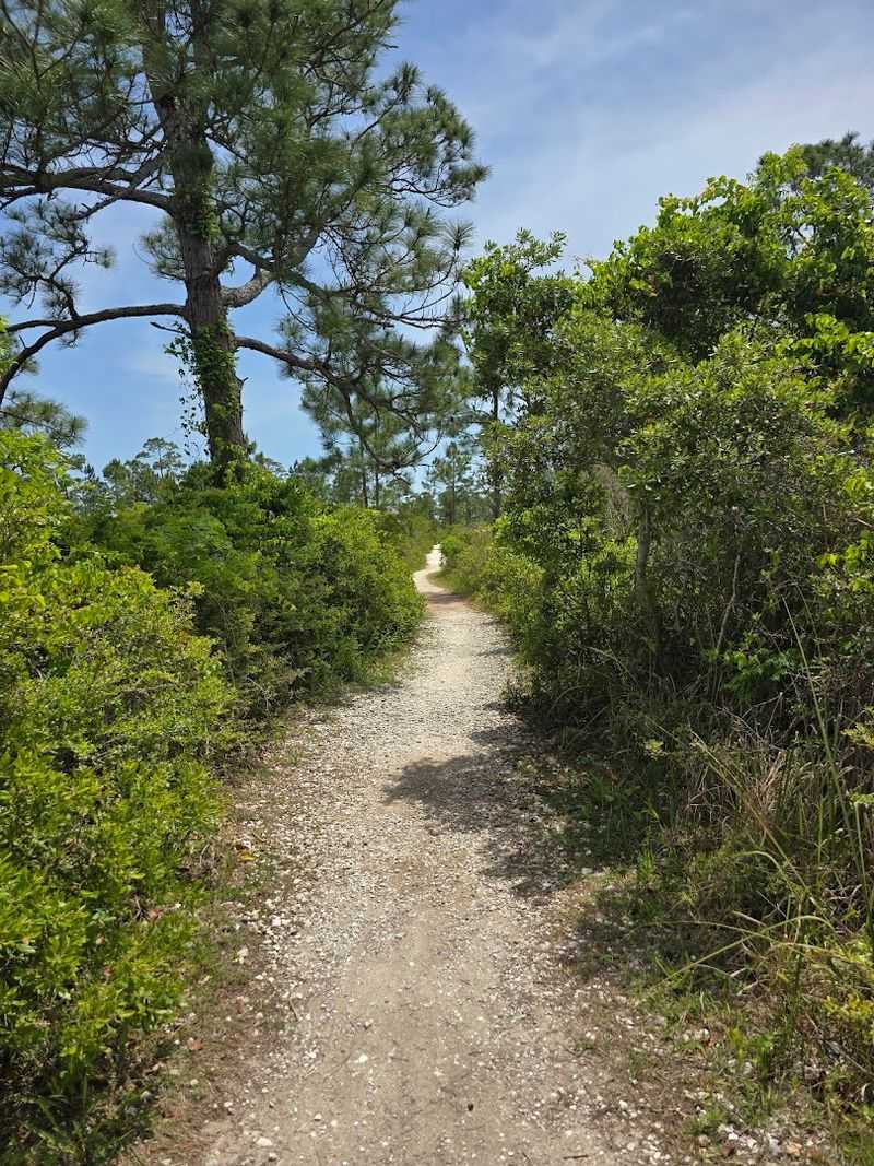 Fort Pickens Trail Area – Pensacola Beach