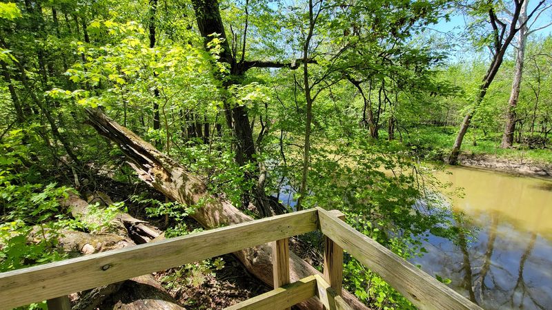 Goll Woods State Nature Preserve