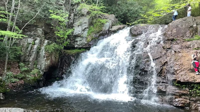Hawk Falls