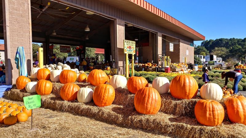 Seasonal Festivals and Events