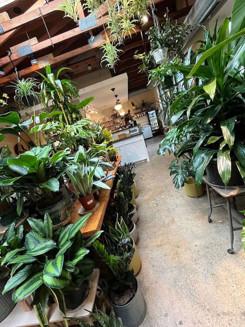 Vault + Vine (Philadelphia)