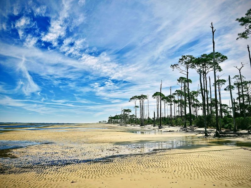 Dr. Julian G. Bruce St. George Island State Park