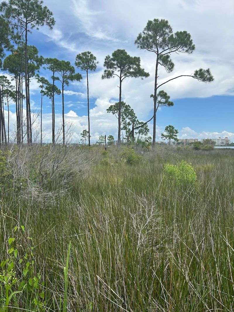 Two Short Nature Trails Through Coastal Ecosystems