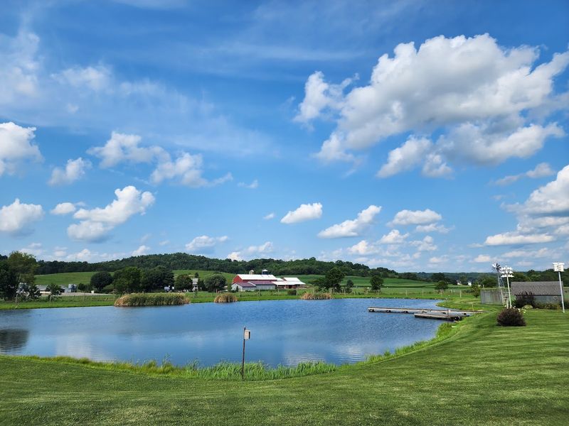 Amish Country Backroads - Berlin and Walnut Creek, Holmes County