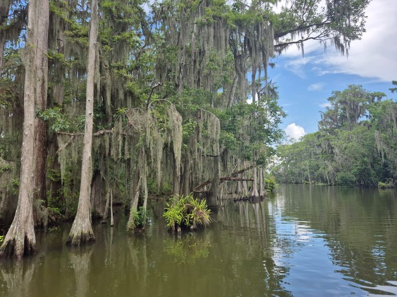 Local History and Storytelling Onboard