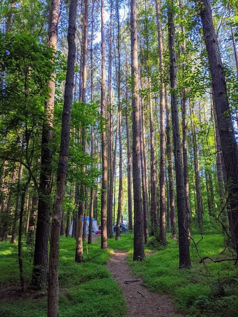 Chattahoochee Bend State Park