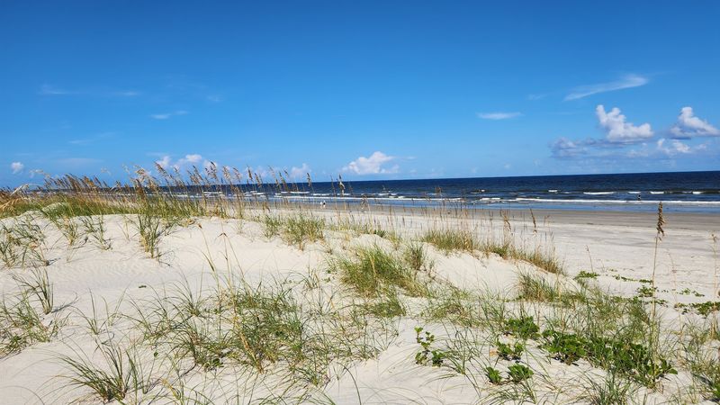 Cumberland Island National Seashore - St. Marys, Camden County