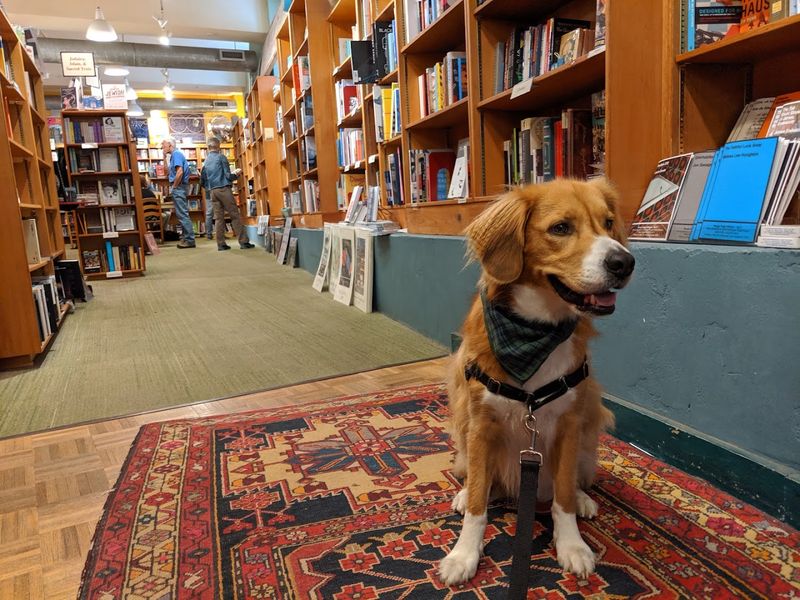 Dog-Friendly Browsing