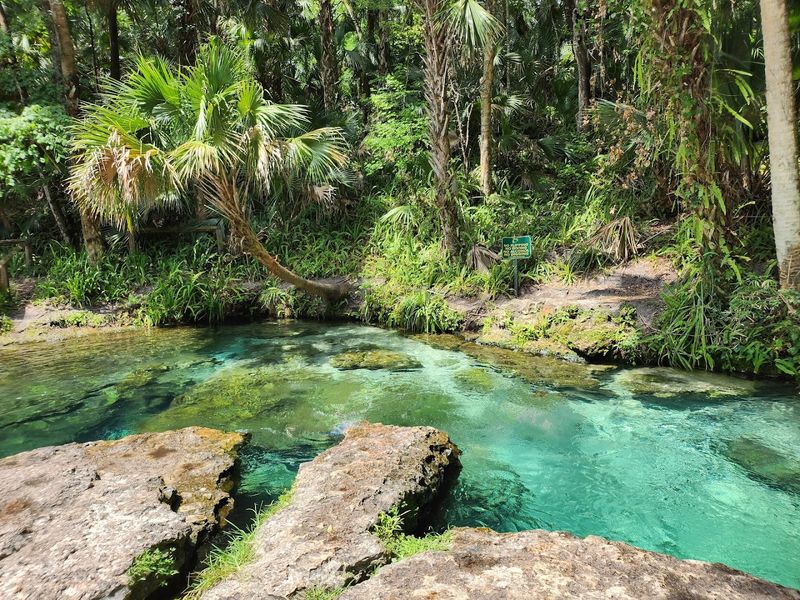 Kelly Park / Rock Springs (Apopka)
