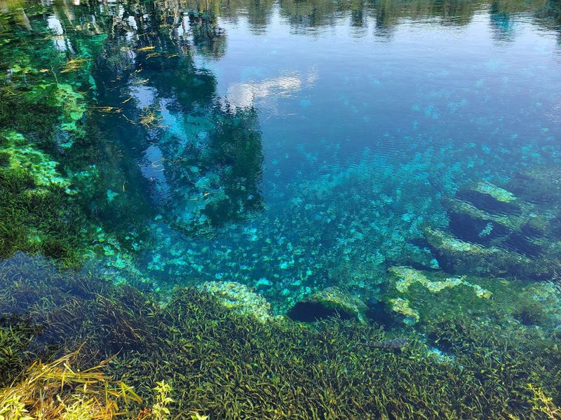 Crystal-Clear Waters Reveal an Underwater Paradise