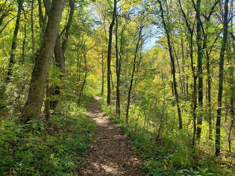 Blackhand Gorge State Nature Preserve