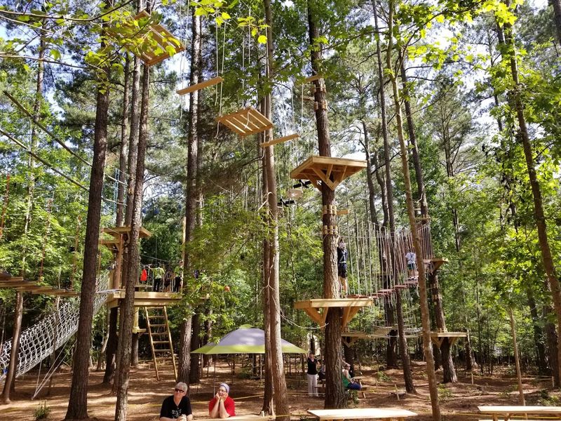 TreeRunner Adventure Park - Raleigh, NC