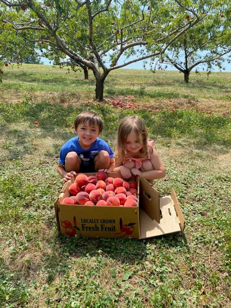 Orchard Valley Farm