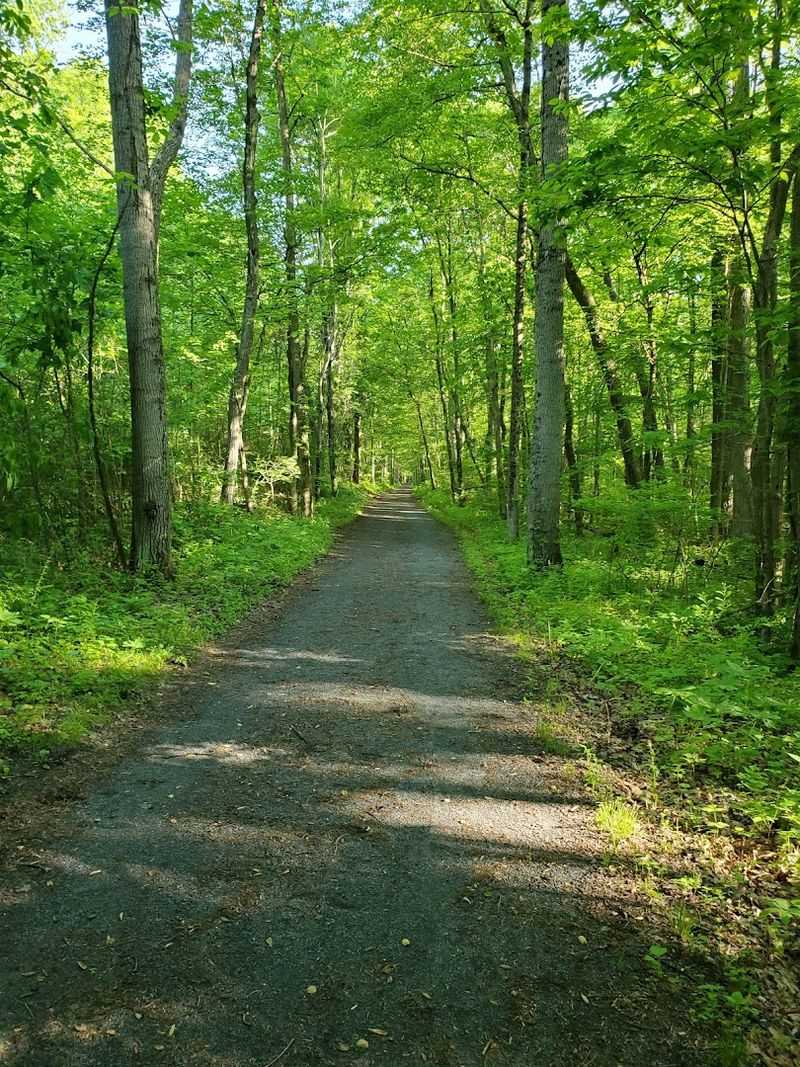 Jacobsburg Environmental Education Center Trails