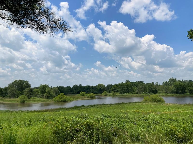Stage&rsquo;s Pond State Nature Preserve 