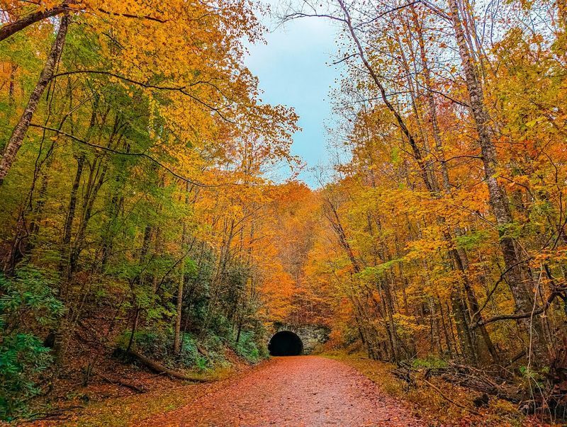 The Road to Nowhere