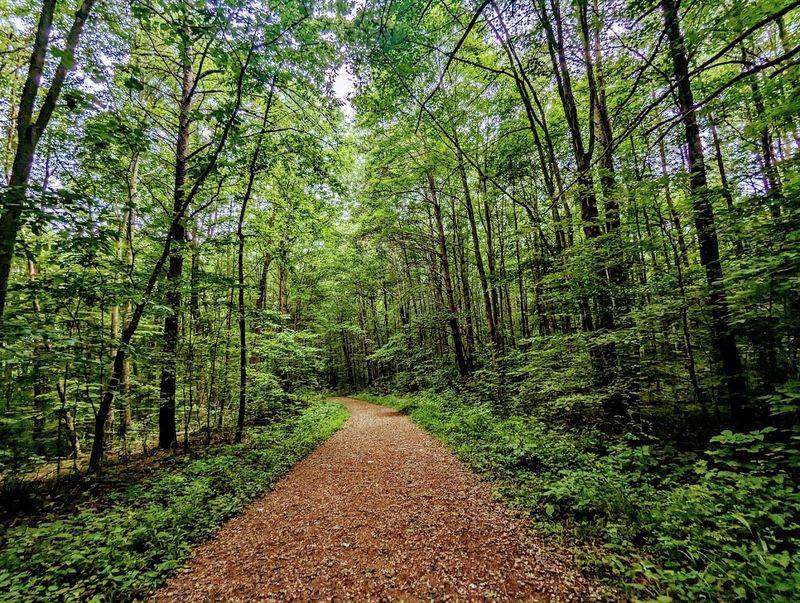 Ash Cave Gorge Trail