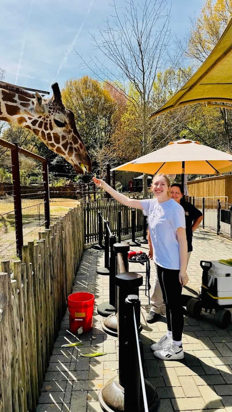 Interactive Animal Encounters Keep Kids Engaged